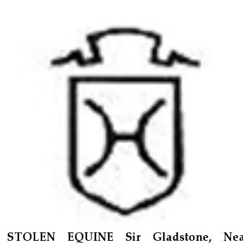 STOLEN EQUINE Sir Gladstone, Near unknown, FL, 34972